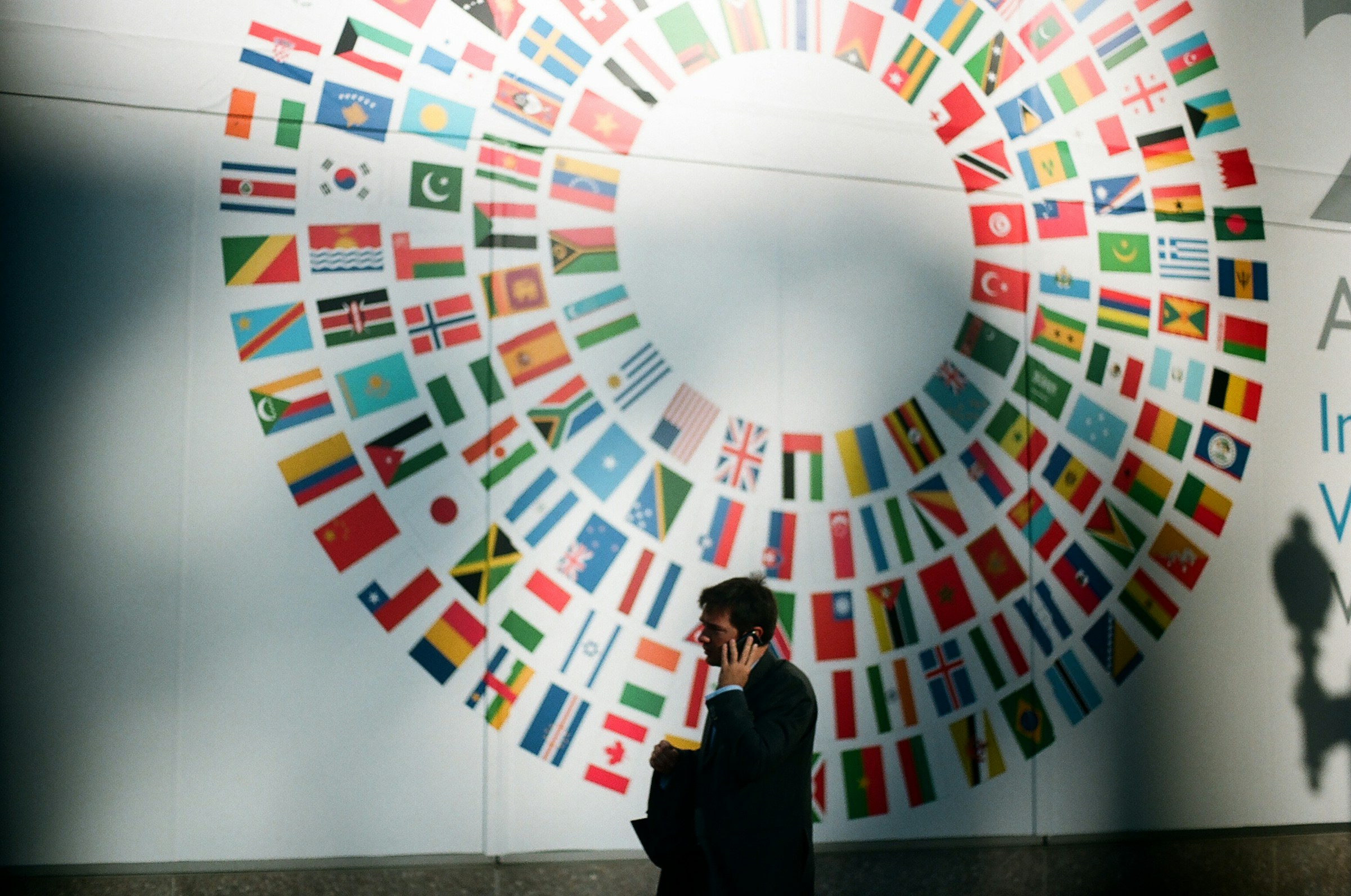 Can International Institutions Effectively Address Global Crises?